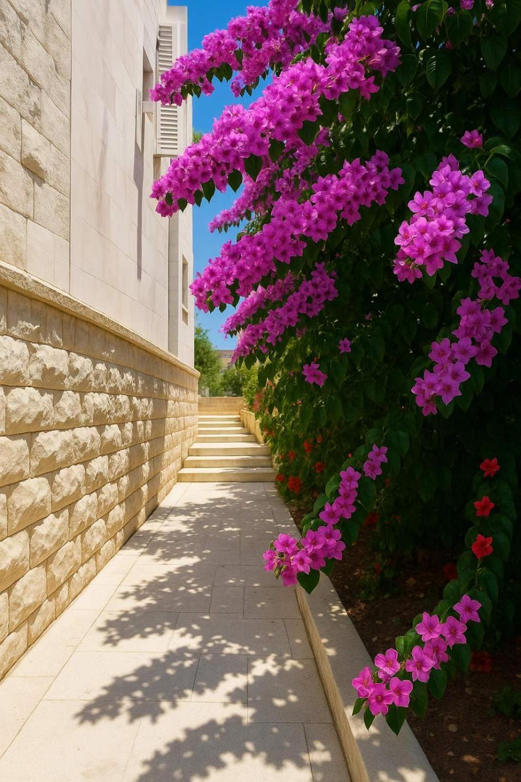 Apartments Villa Mirjana 부드바 외부 사진