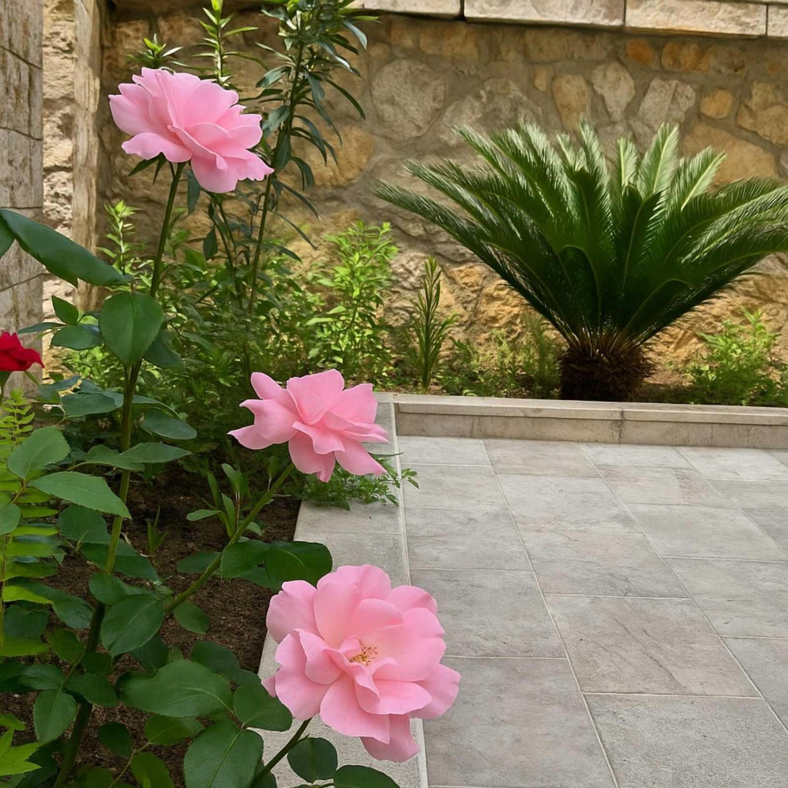 Apartments Villa Mirjana 부드바 외부 사진